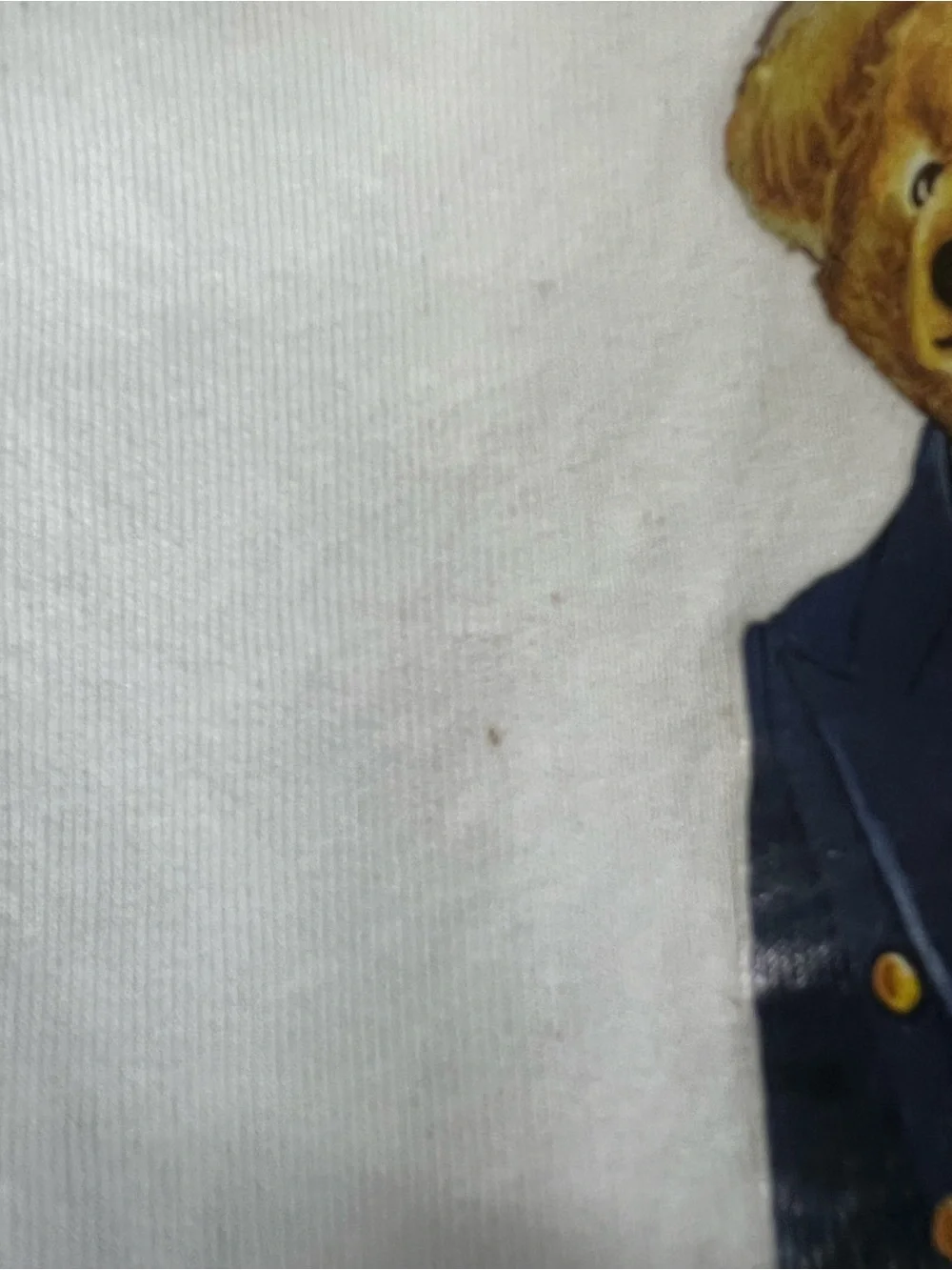 Ralph Lauren Kids Polo Bear Hoodie in White and Gray with Multicolor Bear